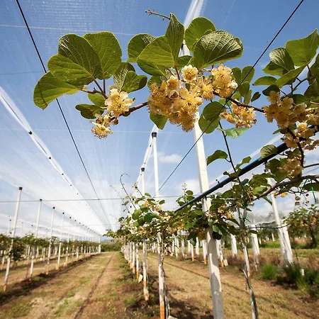I Casali Della Parata *