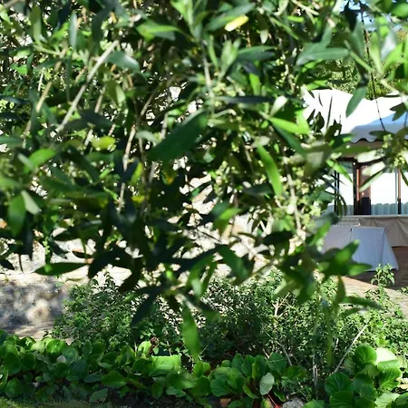 Farm stay I Casali Della Parata